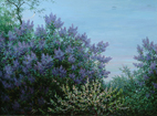 Sunrise. Spring
