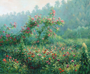 Garden awakening