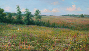 Summer in Moscow region