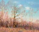 Spring. Dubki