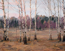 Birch