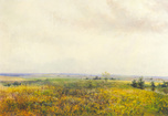 Expanse
