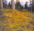 Cowberry glade