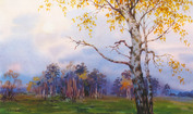 Birch autumn