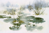 Thaw