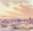 Violet spring