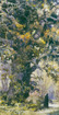Oak of Saint Cornilius