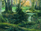 Bialowieza Forest