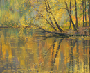 Autumn in Silver Forest