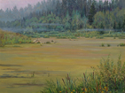 Morning at the swamp