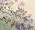 Vision. Spring rain