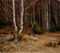Beginning of the spring