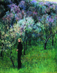 Almond bloom