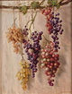 Grape