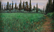 Rome. Rye fields around Via Appia