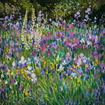 Blooming field