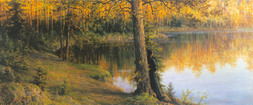 Forest lake