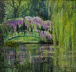 A bridge with wisterias