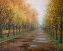 Eyes of autumn