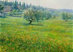 Lights of Toscana