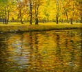 Park. Defoliation